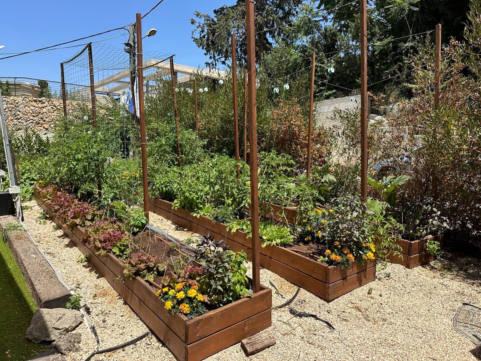 ערוגות הגינה בהרי יהודה